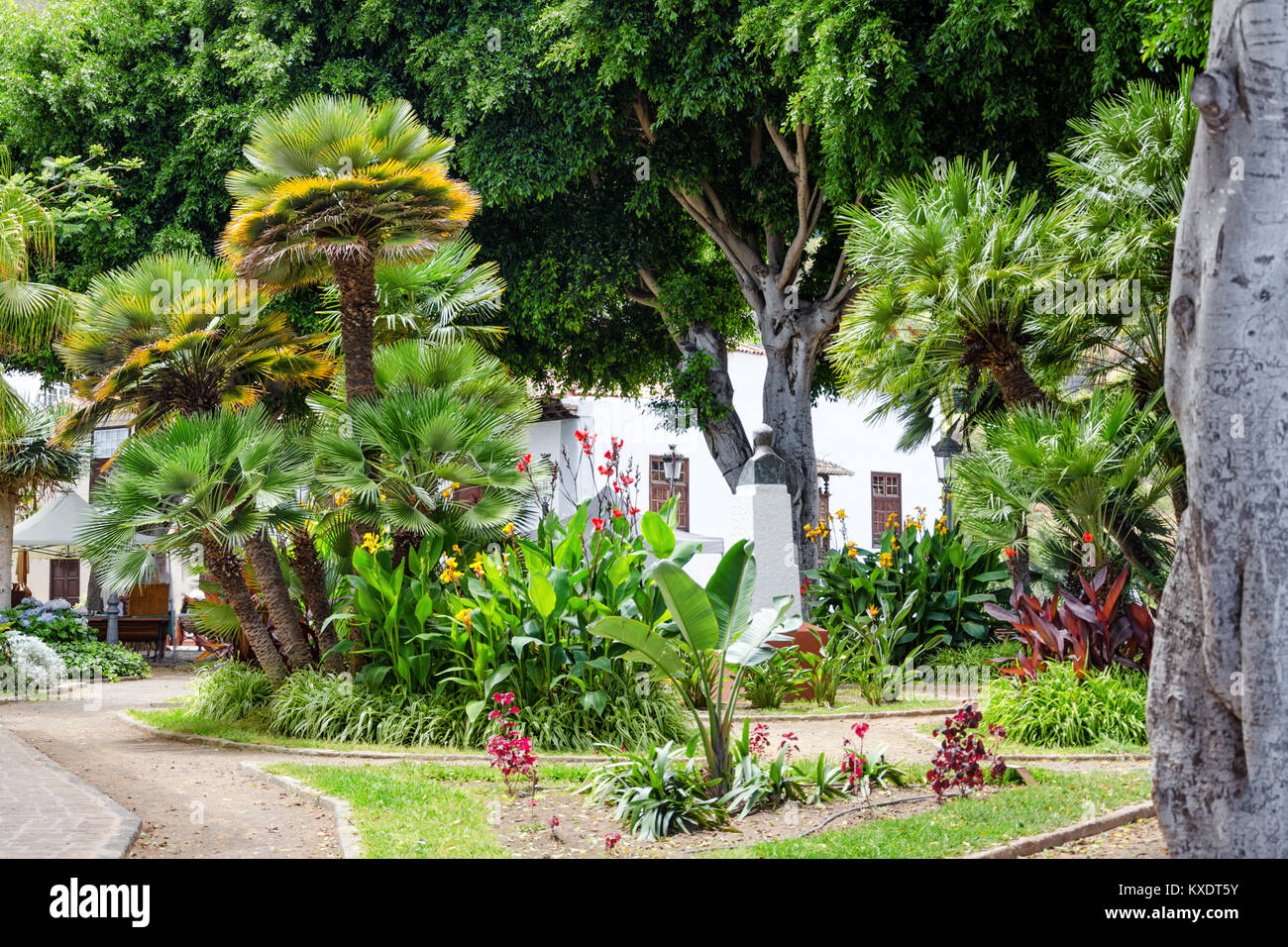 Beautiful tropical garden with palm trees and flowers Stock Photo - Alamy