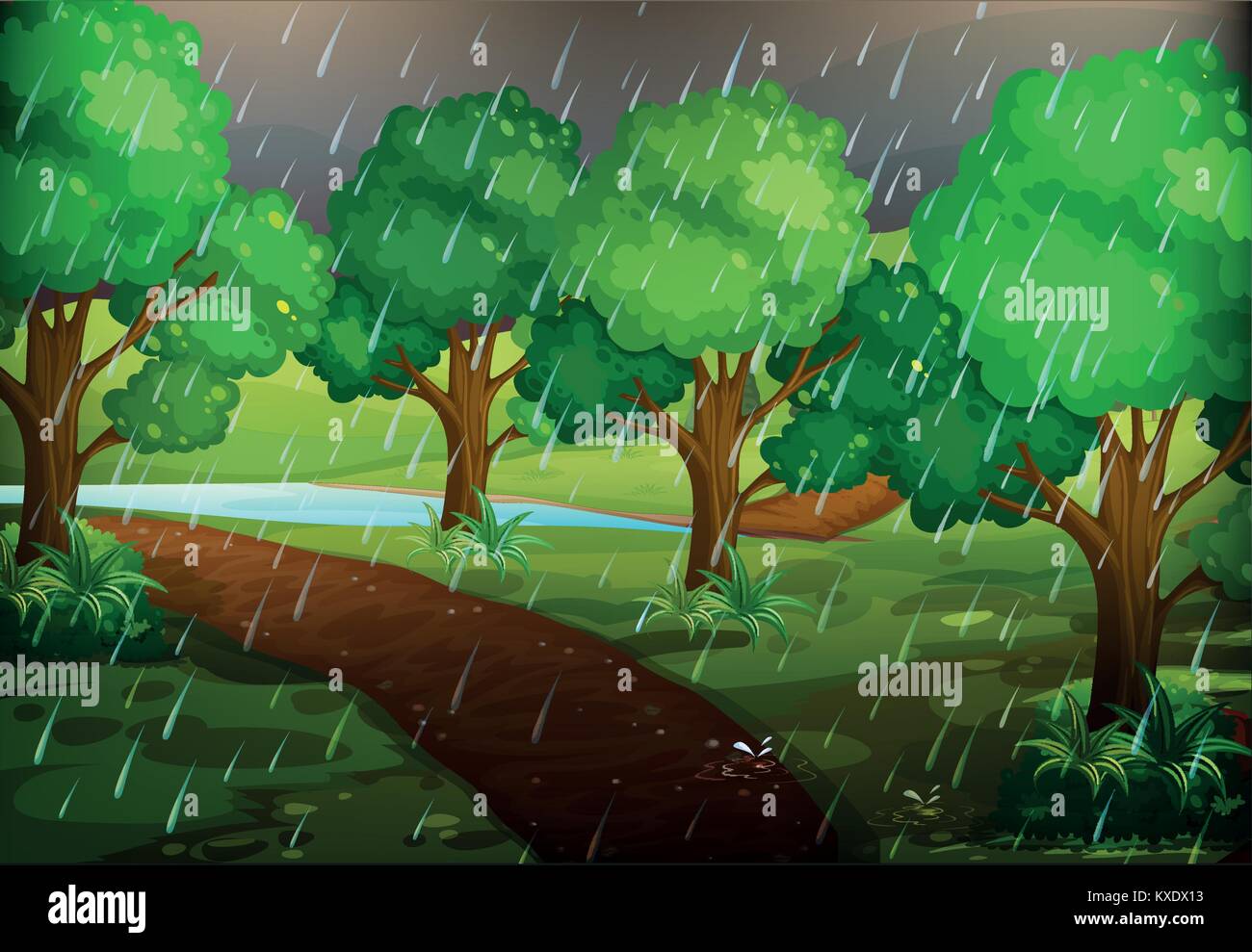 Forest scene on rainy day illustration Stock Vector Image & Art - Alamy