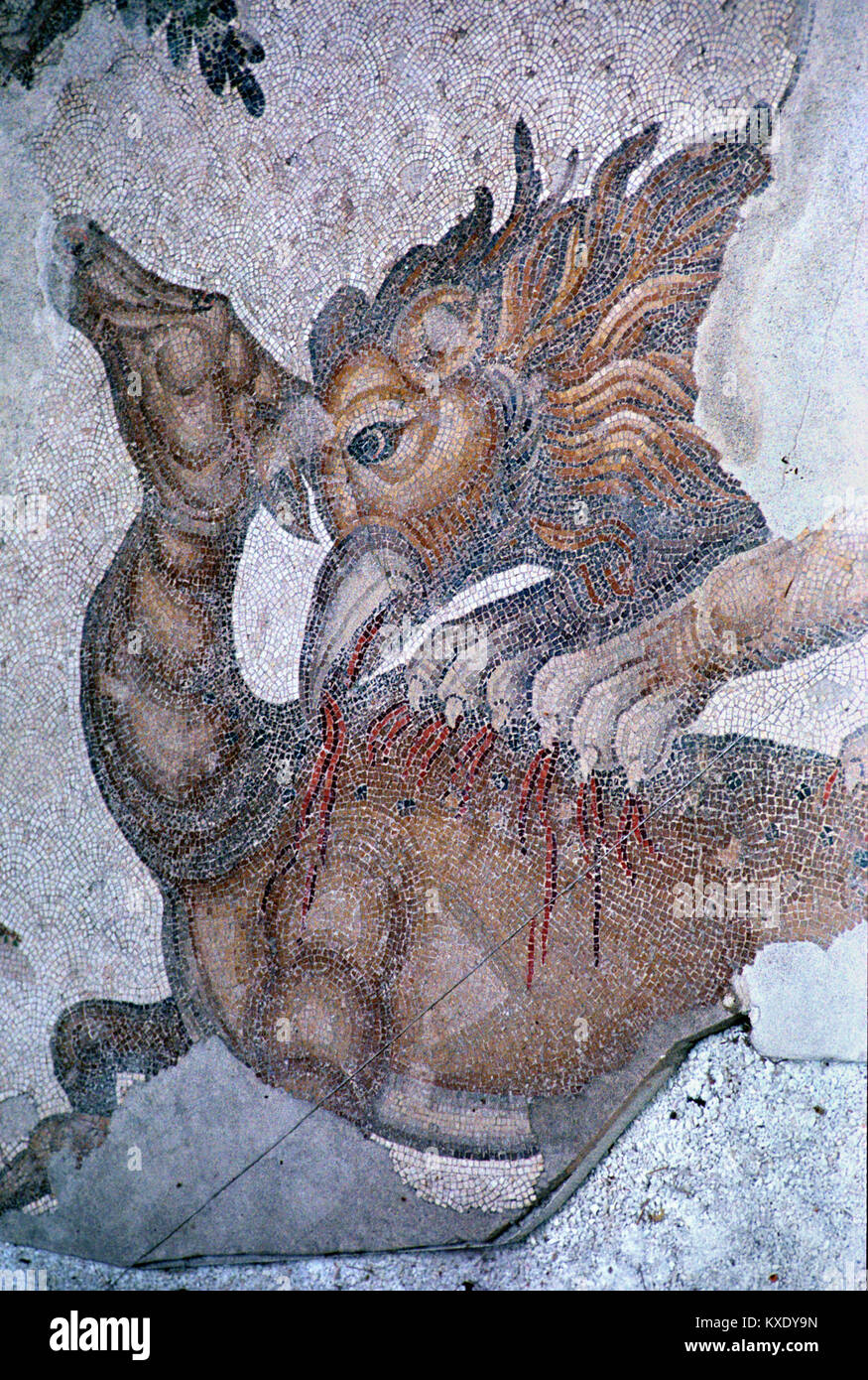 Byzantine Floor Mosaic of Griffin, Griffon or Gryphon Attacking a Deer from the former Byzantine Great Palace c5th, Byzantium, Istanbul, Turkey Stock Photo
