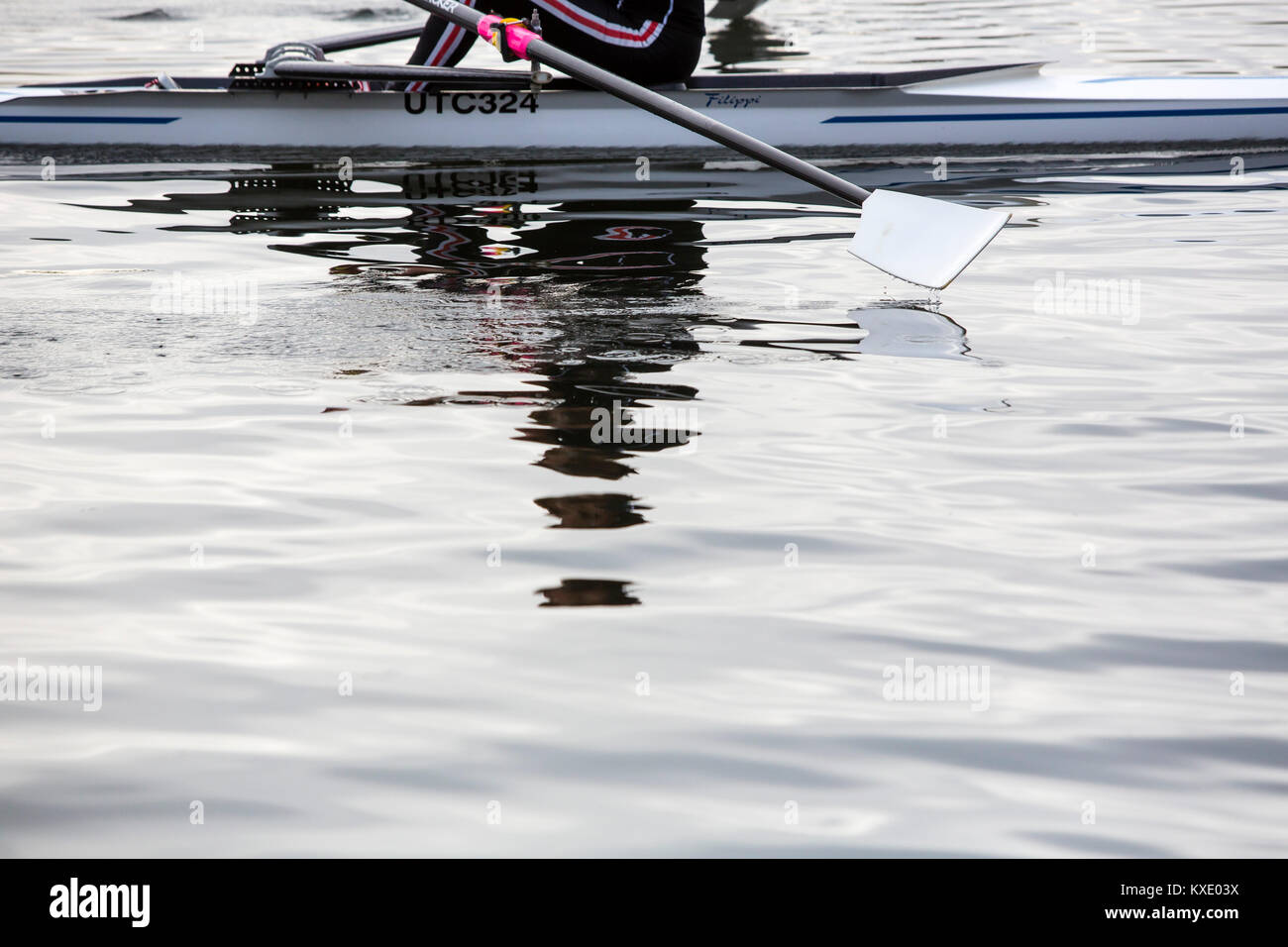 A single rower on a river skulling through the gently rippling water. Stock Photo
