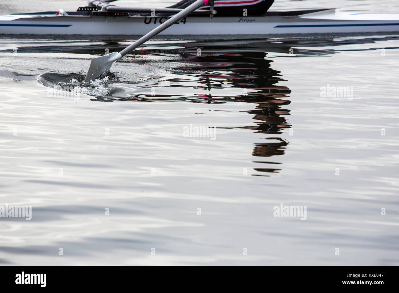 A single rower on a river skulling through the gently rippling water. Stock Photo