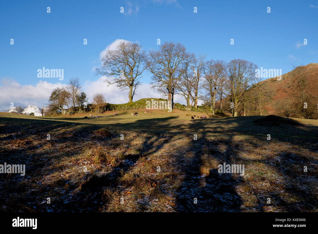 Around Loughrigg Tarn, Lake District, England Stock Photo