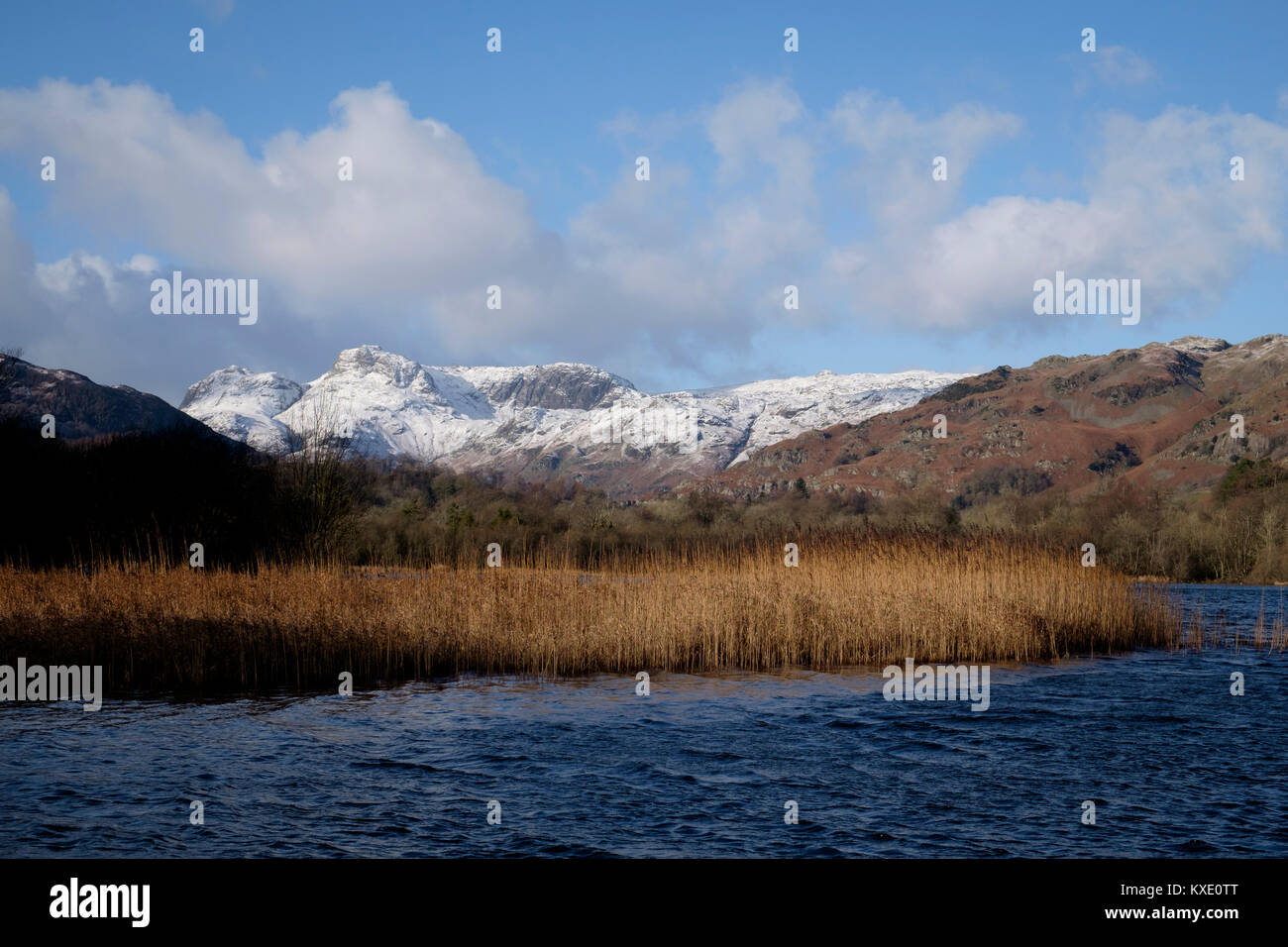 Langdale Pikes from Elter Water, Lake District, England Stock Photo