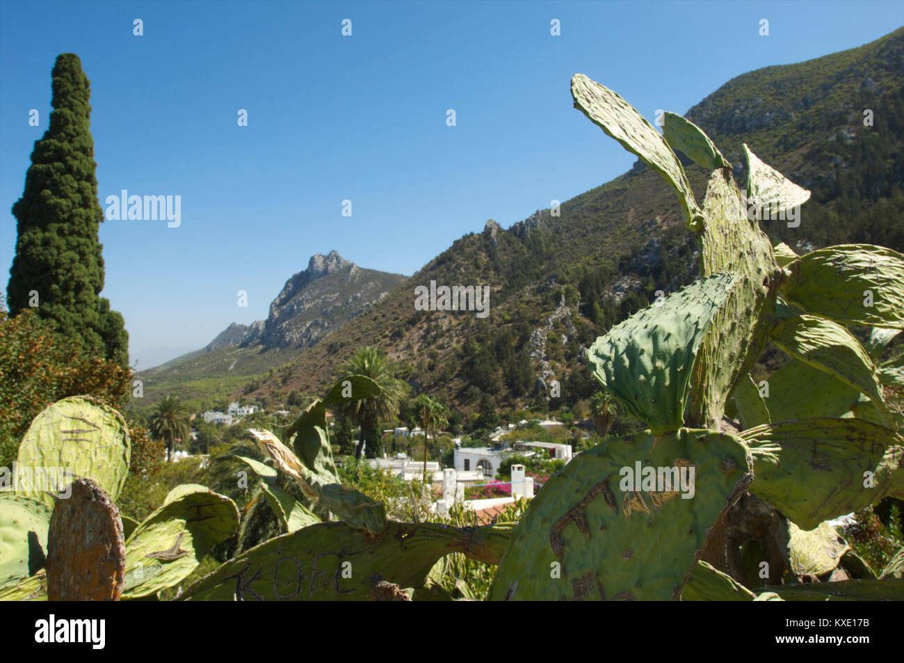 Graffiti on cactus plants in the village of Karmi with the mountains in the background, Cyprus Stock Photo