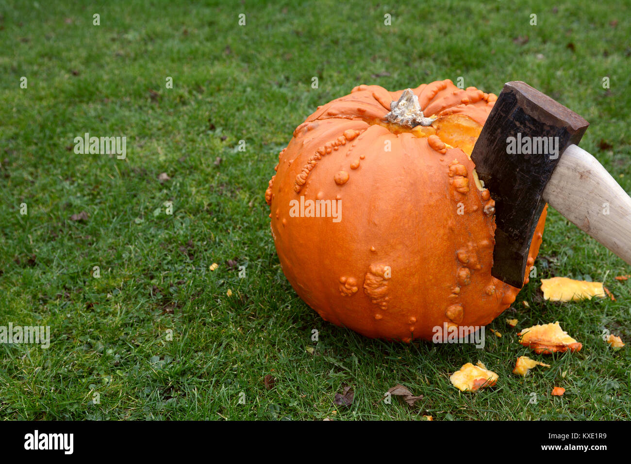 Axe hacks into a large orange pumpkin, with pieces of flesh on green grass - with copy space Stock Photo