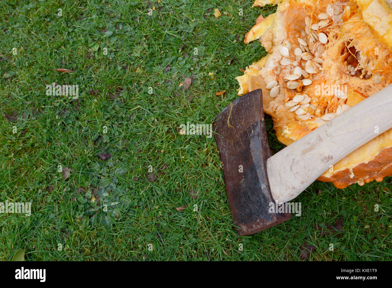Close-up of sharp axe against a large pumpkin, hacked open - with copy space on green grass Stock Photo
