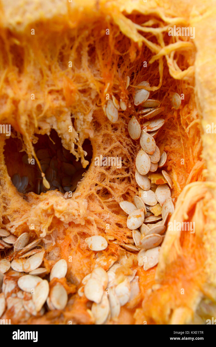 Inside of an orange pumpkin with stringy flesh and lots of large oval