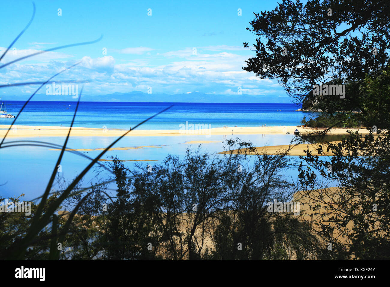 Pristine tropical blue water sandy beach view in Abel Tasman National Park Coast Track Stock Photo
