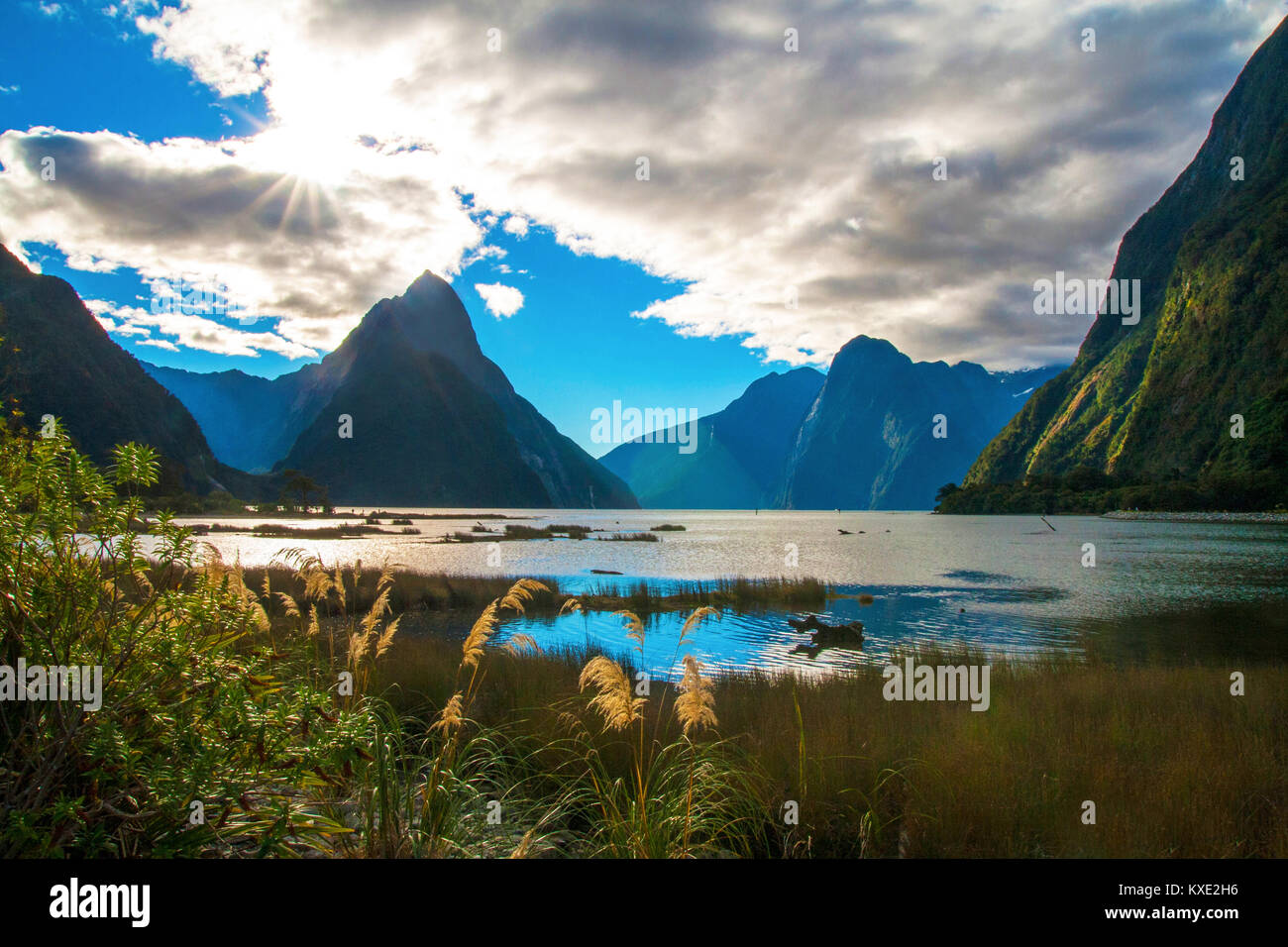 Milford Sound with famous Mitre Peak view while sunshine day, Fjords in Fiordland National Park, New Zealand Stock Photo