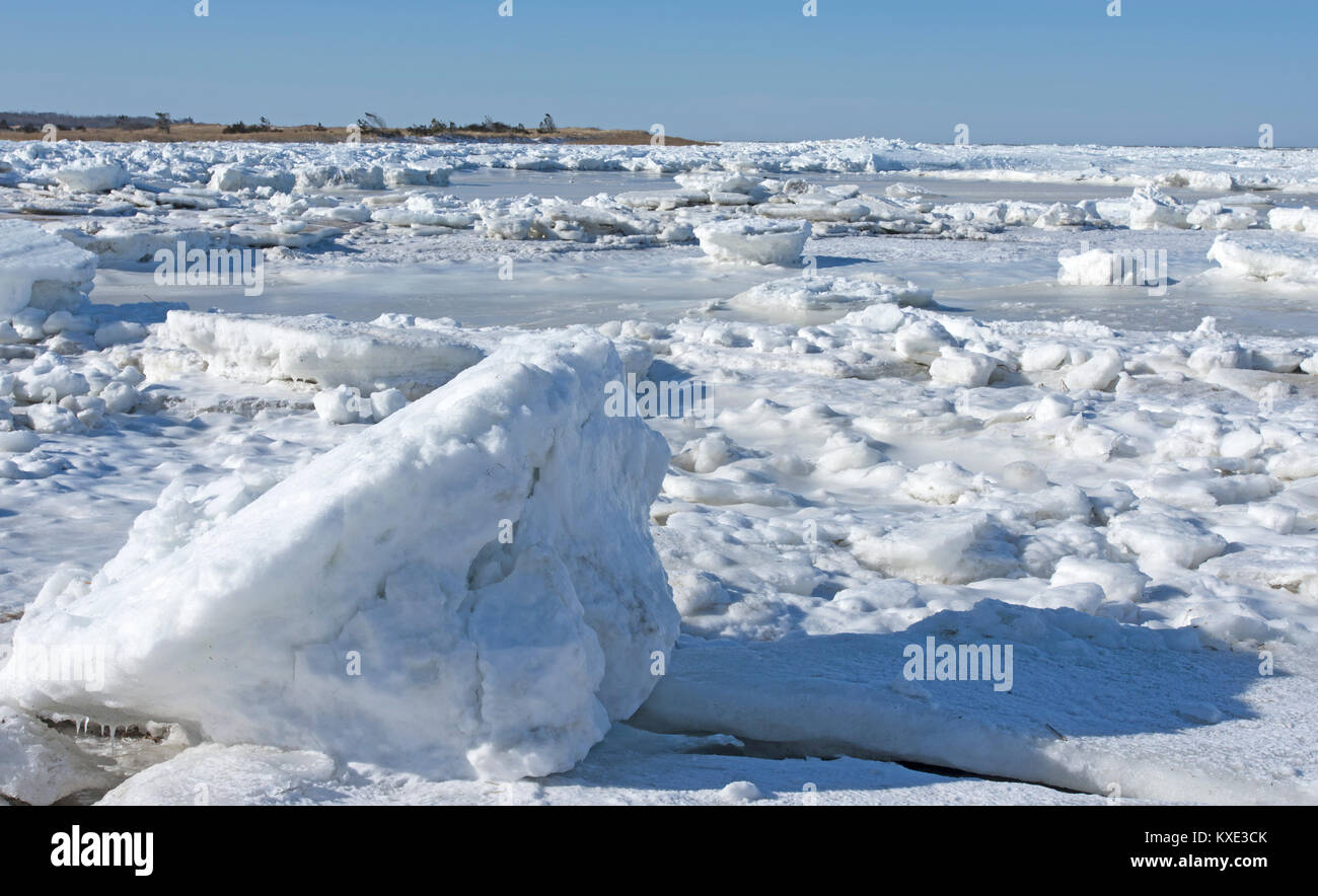 Ice along Paine's Creek, Brewster, Massachusetts, Cape Cod, USA, on a