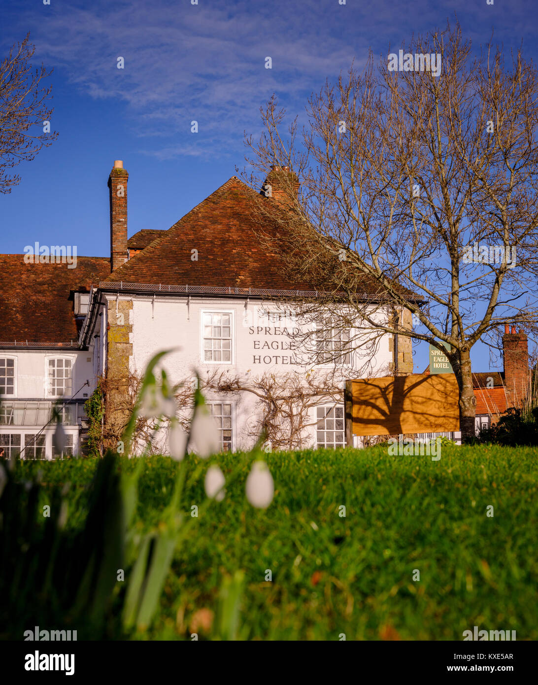 The spread eagle sussex hi-res stock photography and images - Alamy