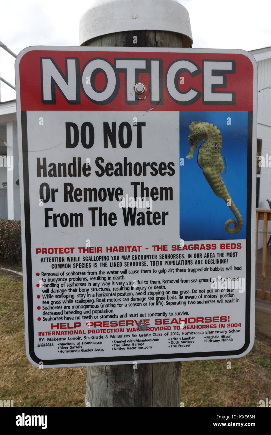 Seahorse conservation sign in front of a Crystal River, Florida snorkel charter shop. Stock Photo