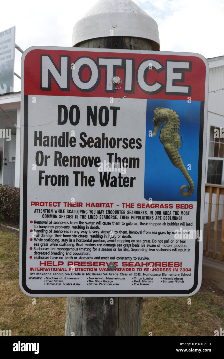Seahorse conservation sign in front of a Crystal River, Florida snorkel charter shop. Stock Photo