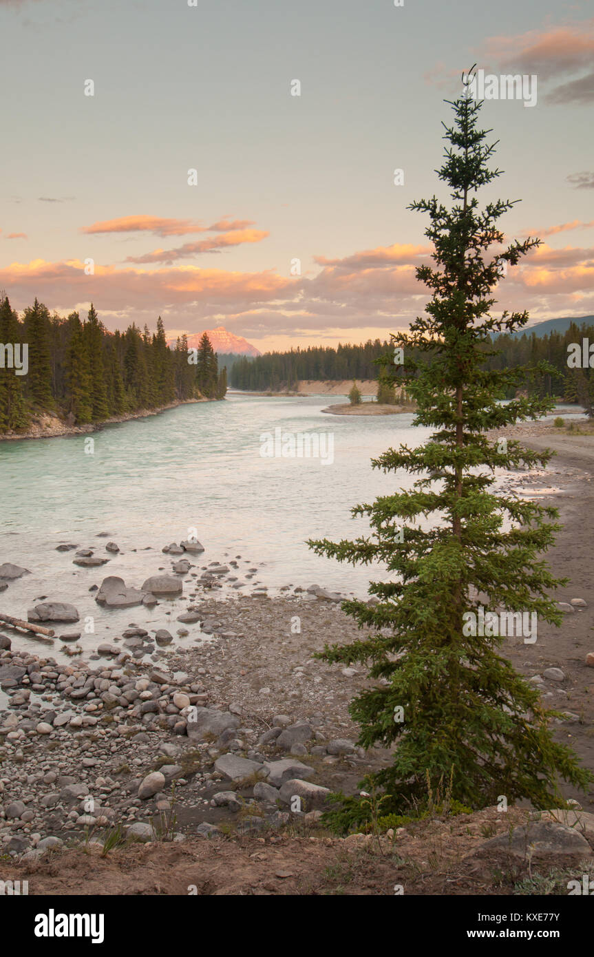 Landscape view of river in the wilderness with beautiful sun rays on