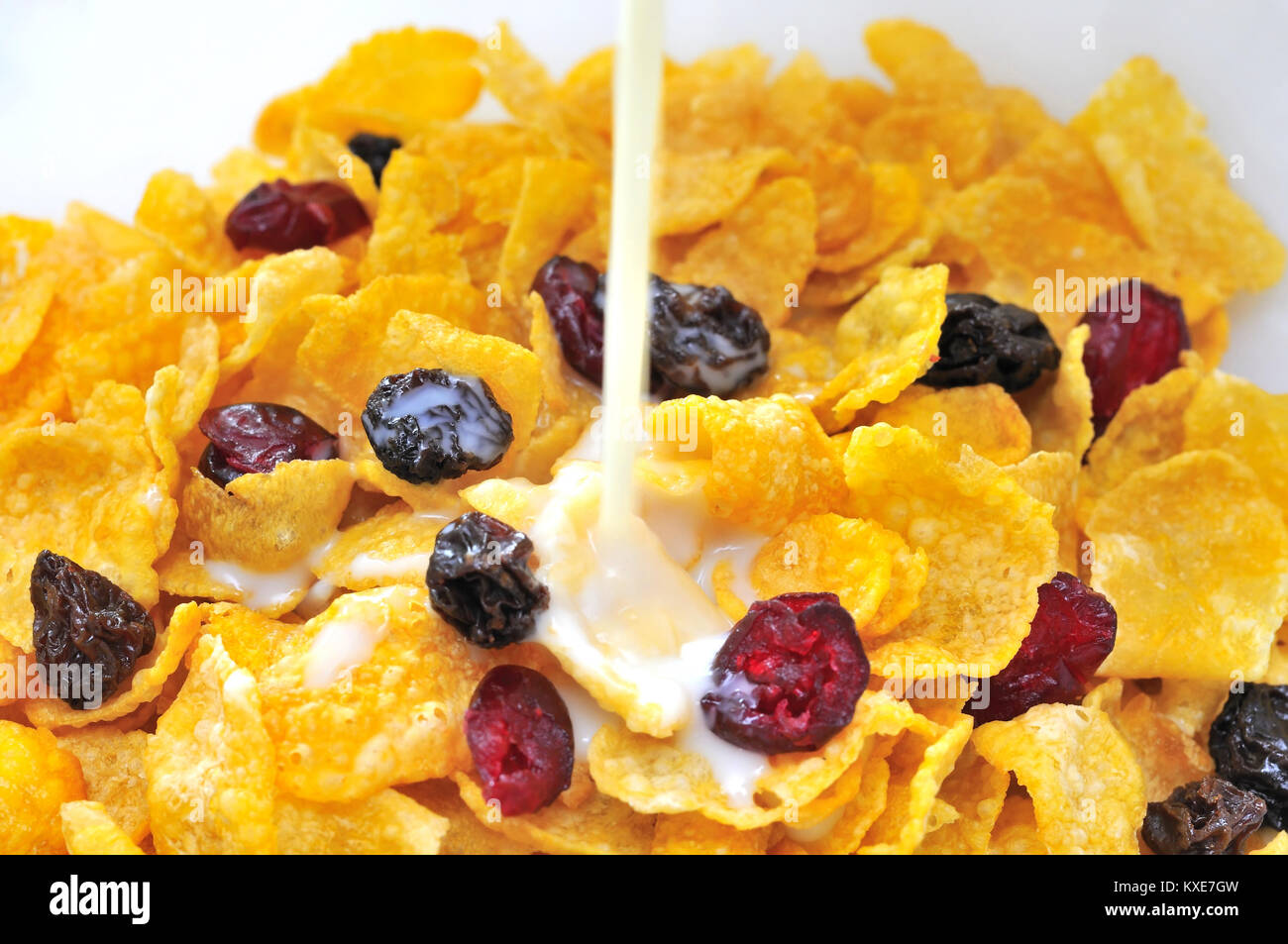 Soya milk pouring into healthy cereal with raisins and cranberries for
