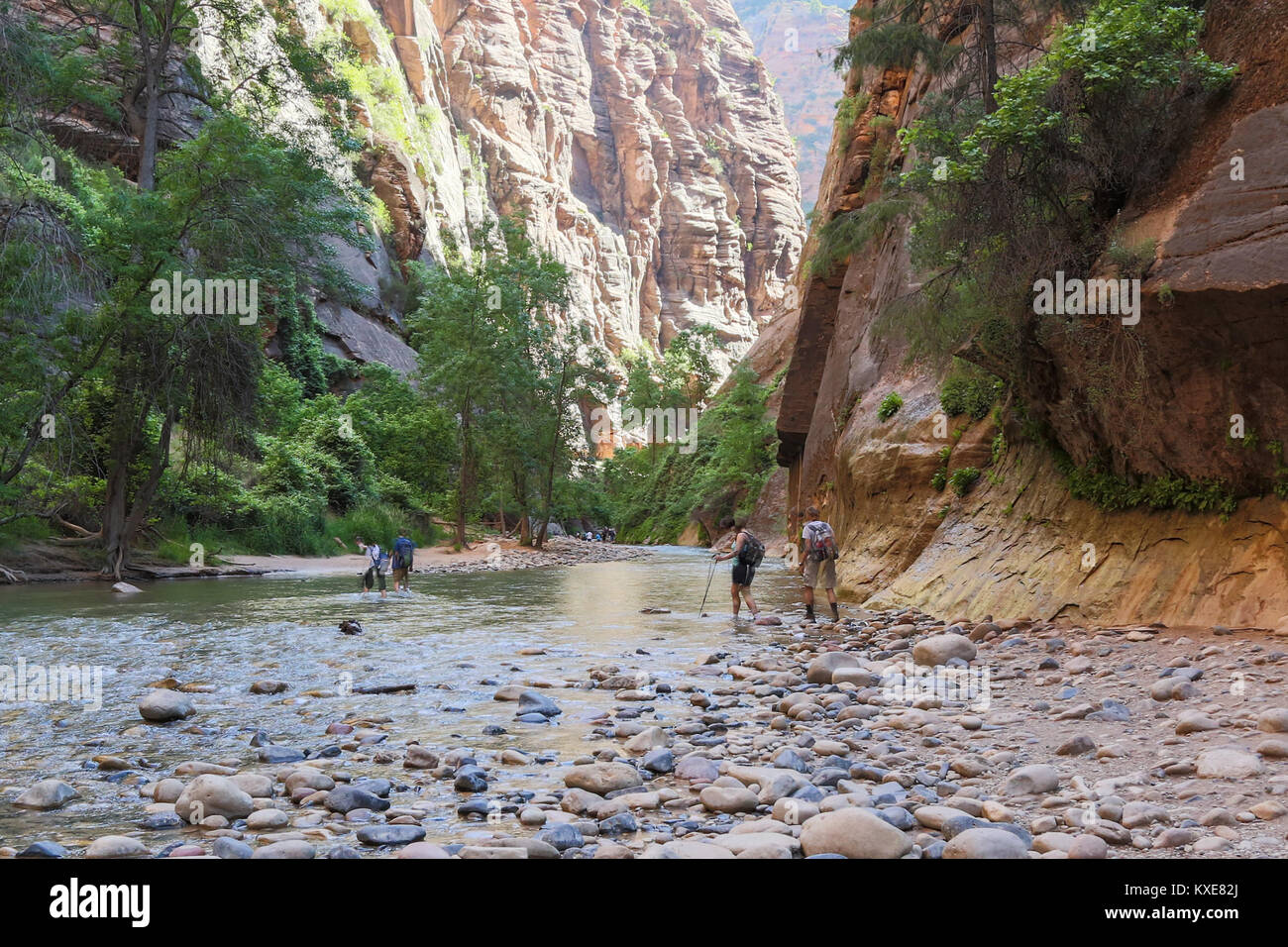 The notorious narrows in the north in Zion Canyon where flash floods