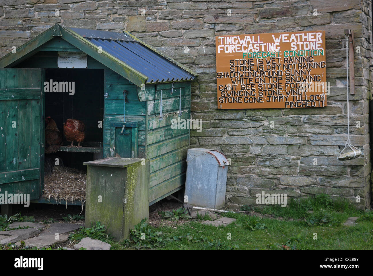 The Weather Forecasting Stone at Tingwall, Orkney Island, Scotland provides a humorous account of weather prediction for passersbys, resident rooster. Stock Photo