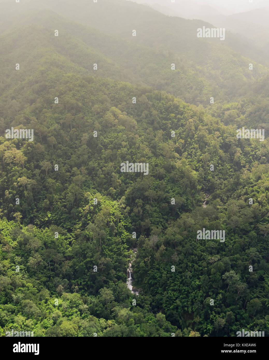 Aerial view of the forest Stock Photo - Alamy