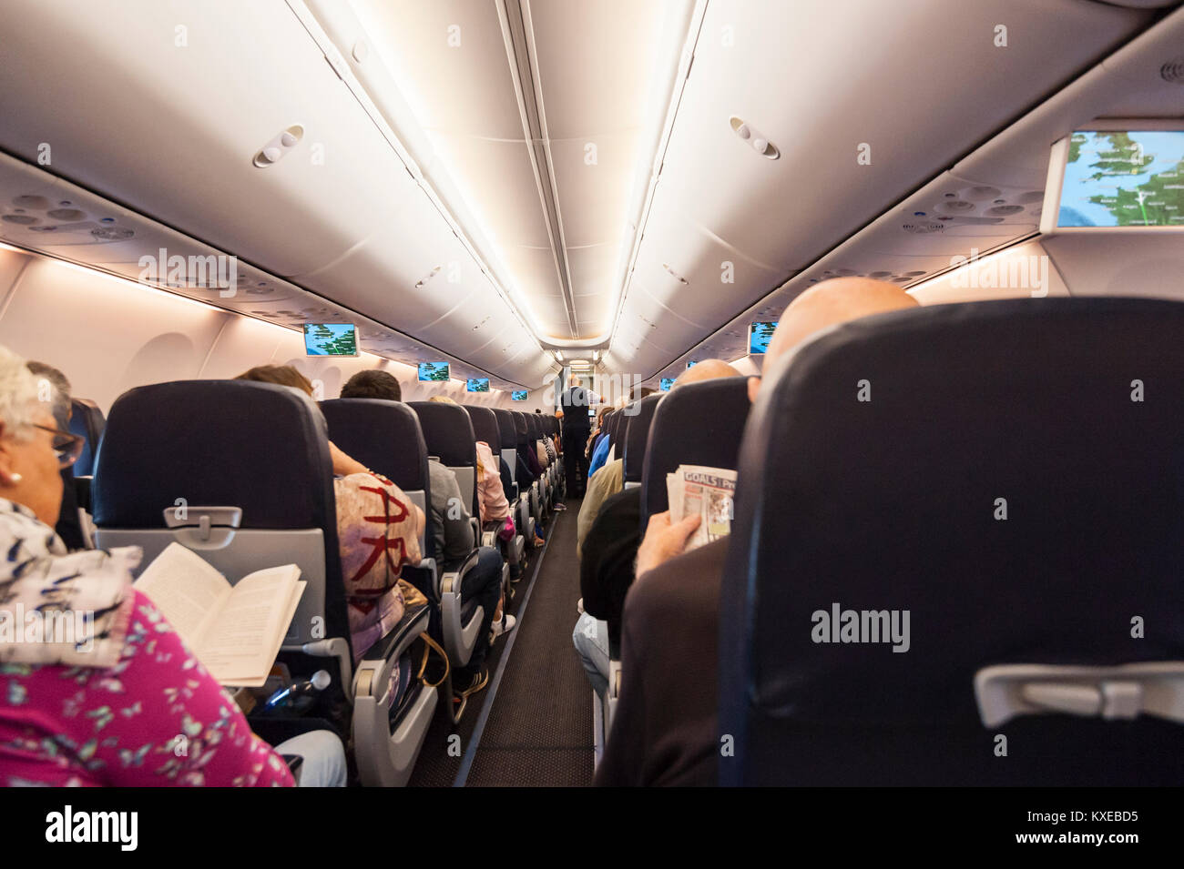 Cabin crew serving drinks on a Boeing 737 in flight on a TUI plane Stock  Photo - Alamy