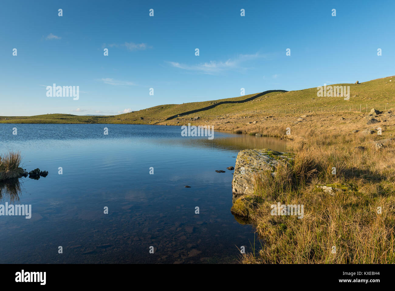 Potter tarn near Staveley Cumbria Stock Photo Alamy