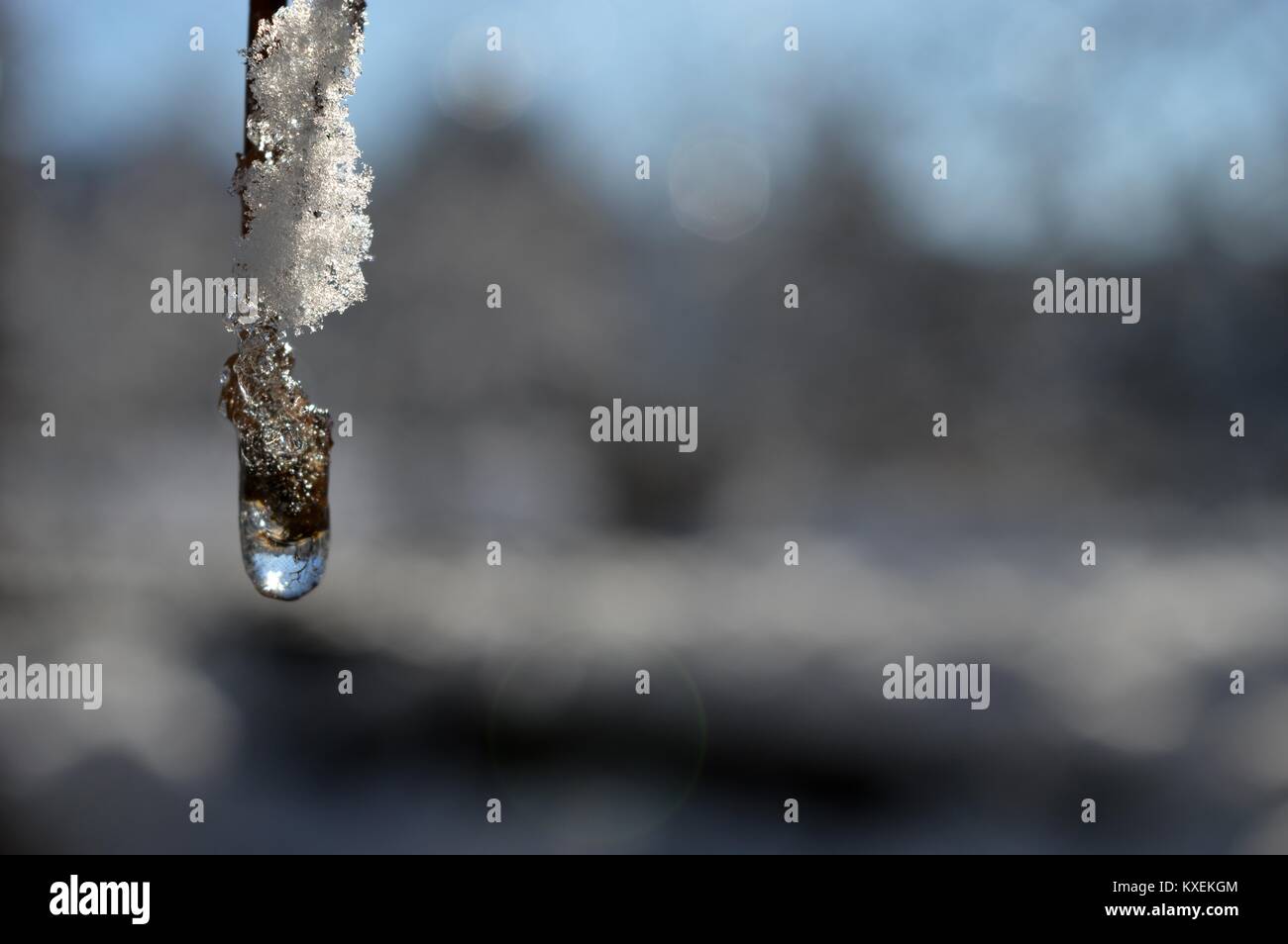 droplets, snow and ice Stock Photo - Alamy
