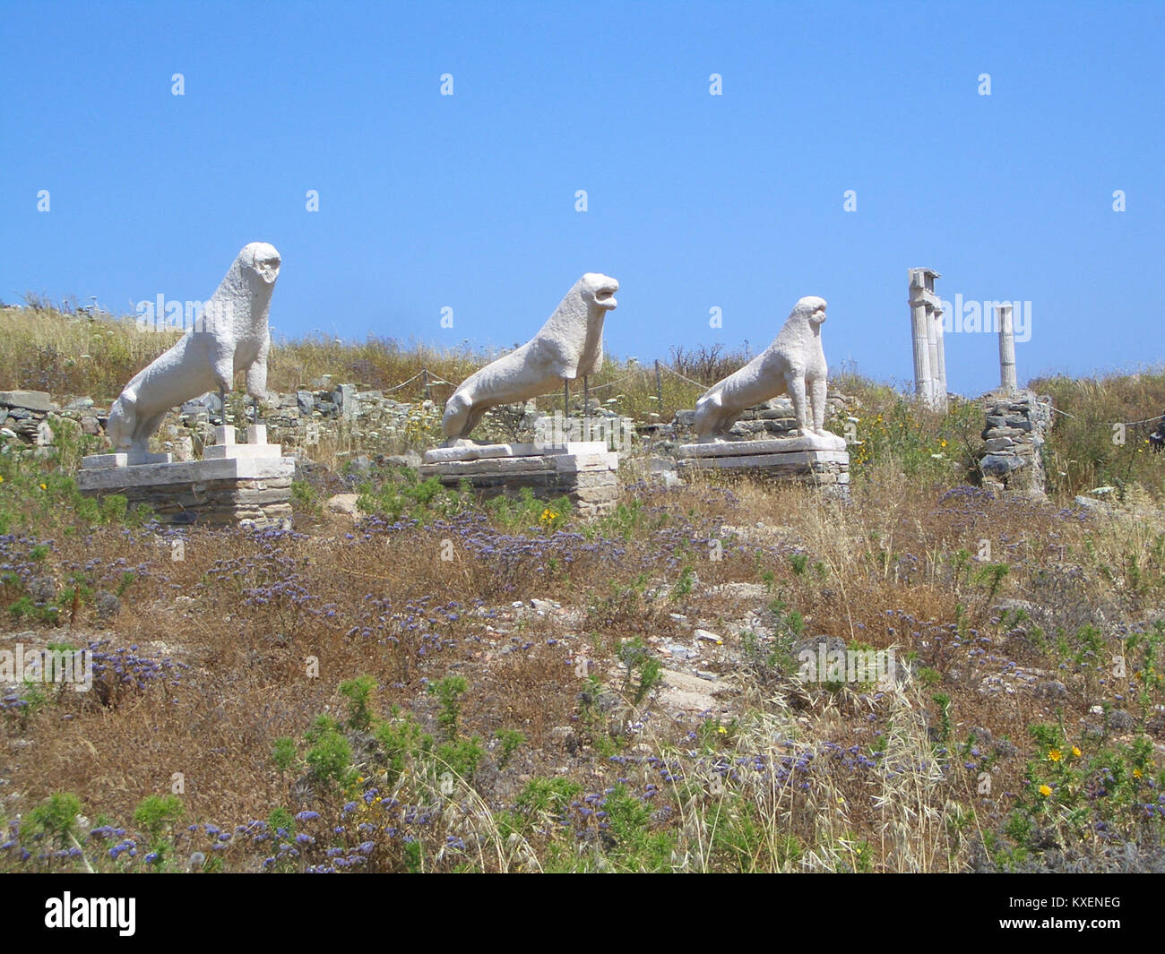 Photograph of the Terrace of the Lions in Delos, Greece, featuring ...