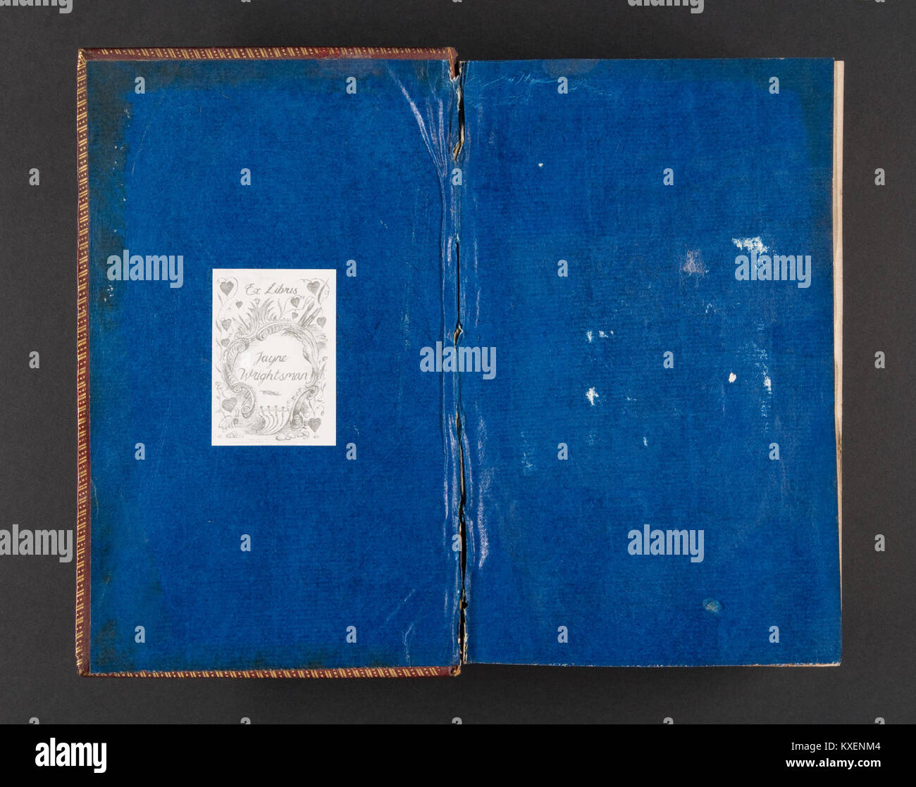 UNE ANN E NON BISSEXTILE visual data 3