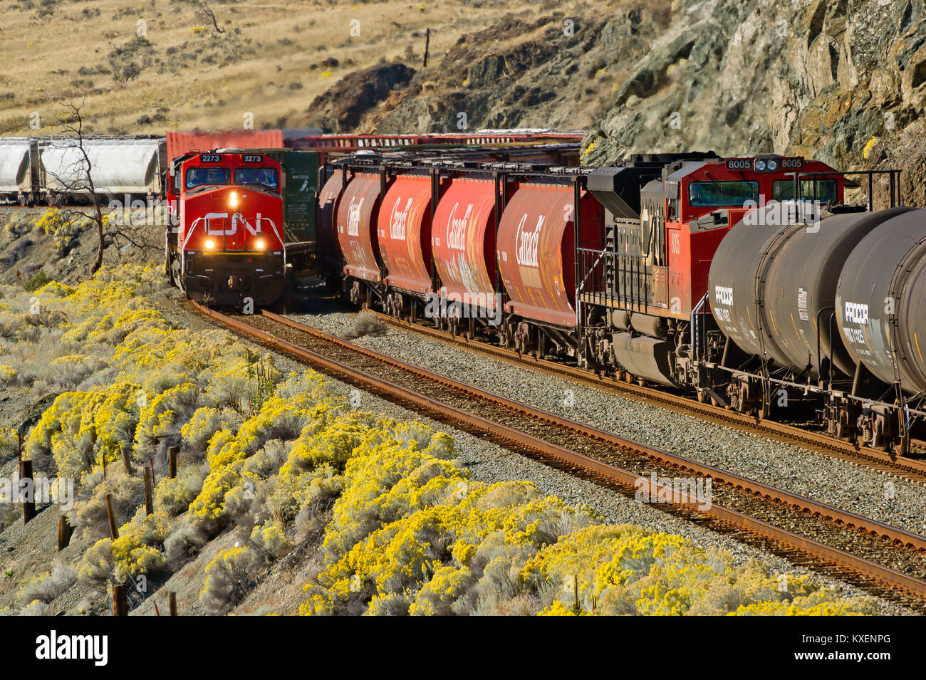 cn rail tickets