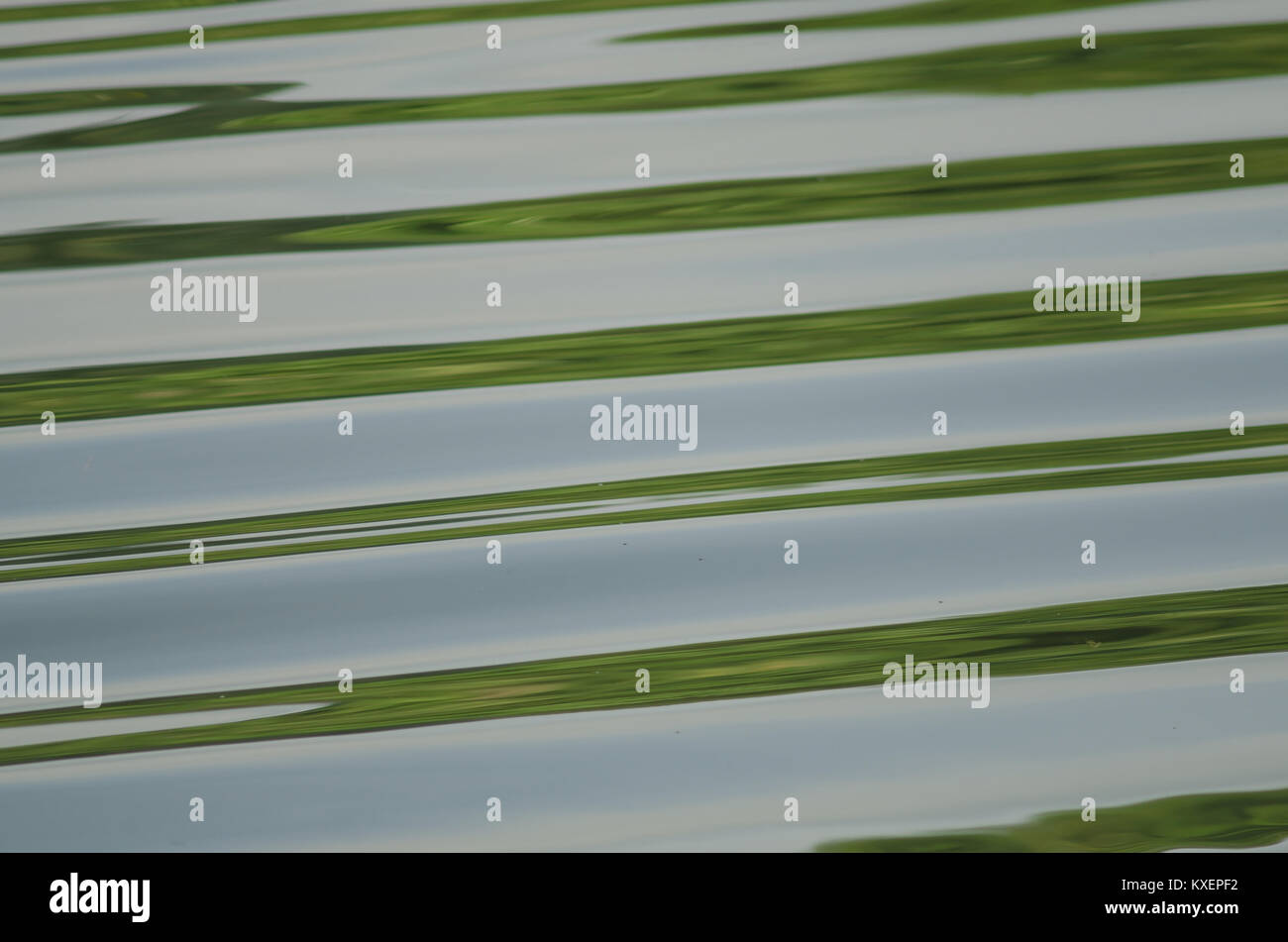 Colorful ripples on a water surface, Water wave reflection use for ...