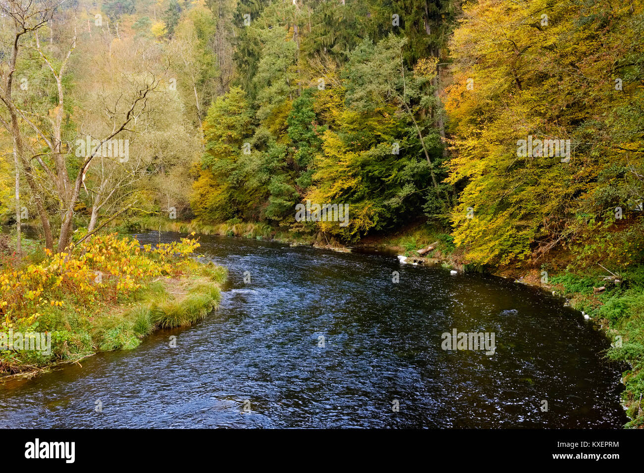 River Ilz,nature reserve Halser Ilzschleife near Passau,Bavarian Forest,Lower Bavaria,Bavaria,Germany Stock Photo