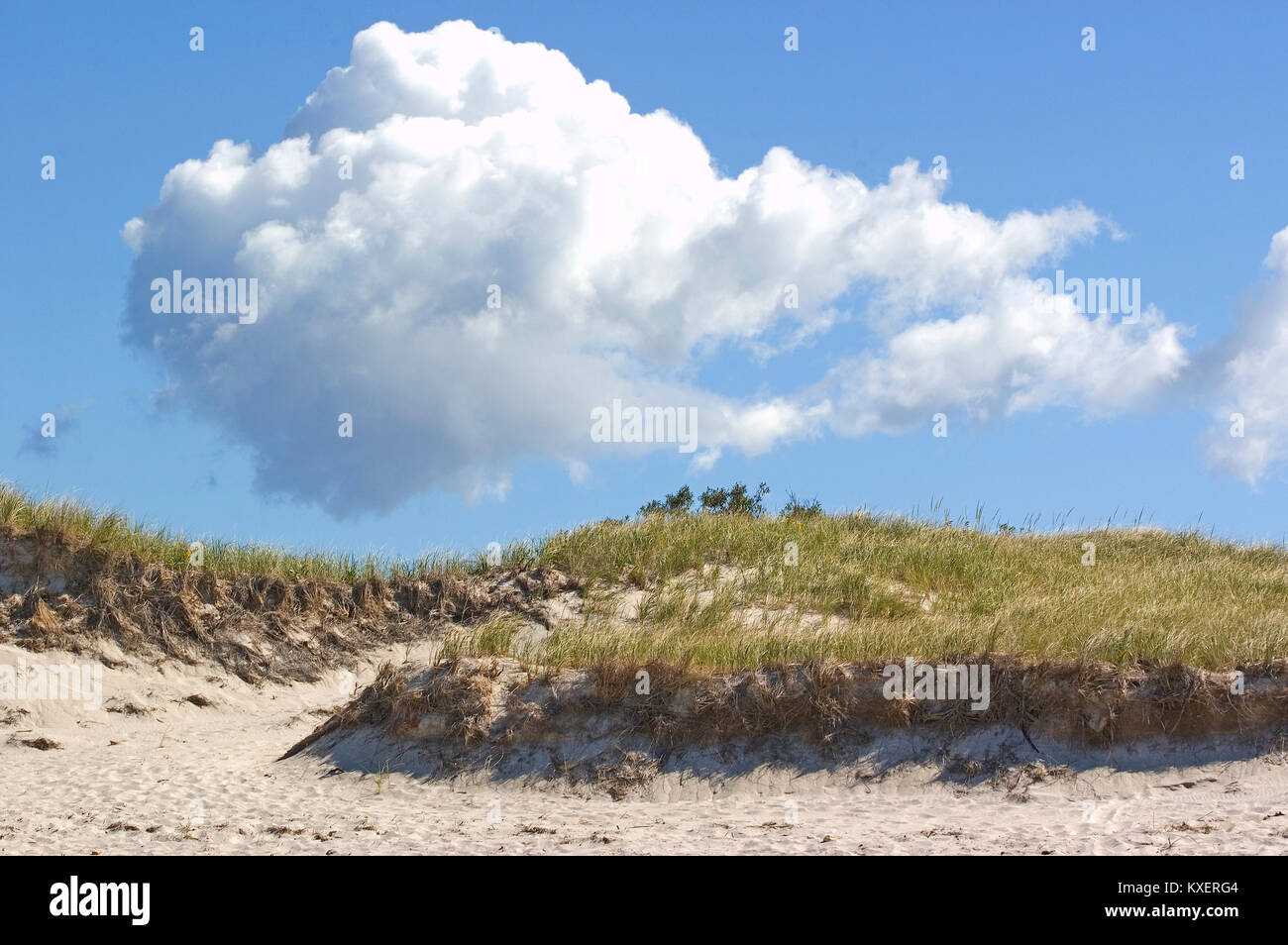 Sand and sky - Chapin Beach, Dennis, Massachusetts on Cape Cod, USA Stock Photo