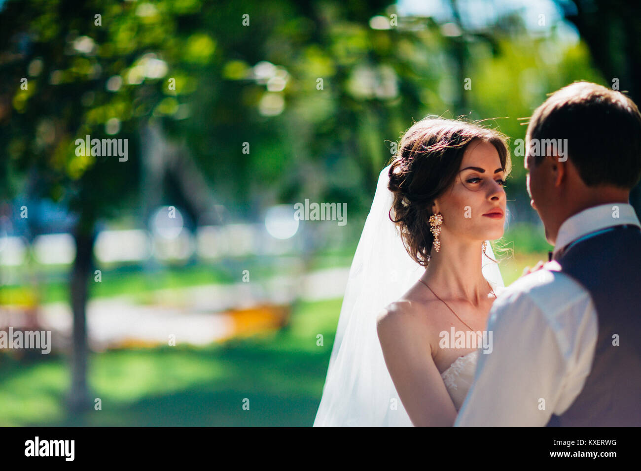 The bride and groom in the background of the park Stock Photo - Alamy