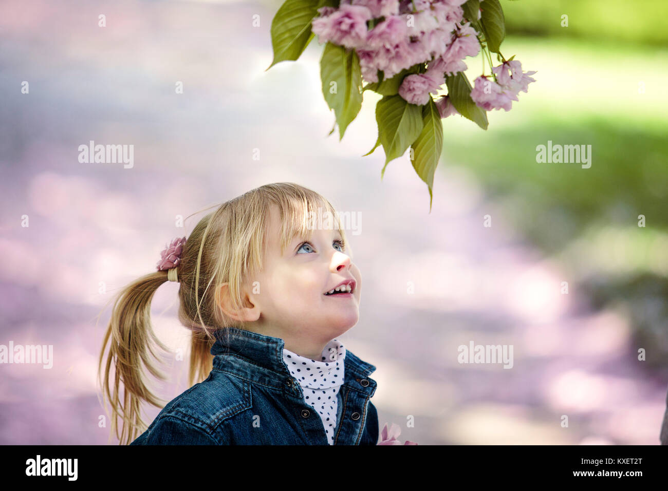 Portrait of a Girl and Cherry Tree Flowers in Spring Stock Photo - Alamy