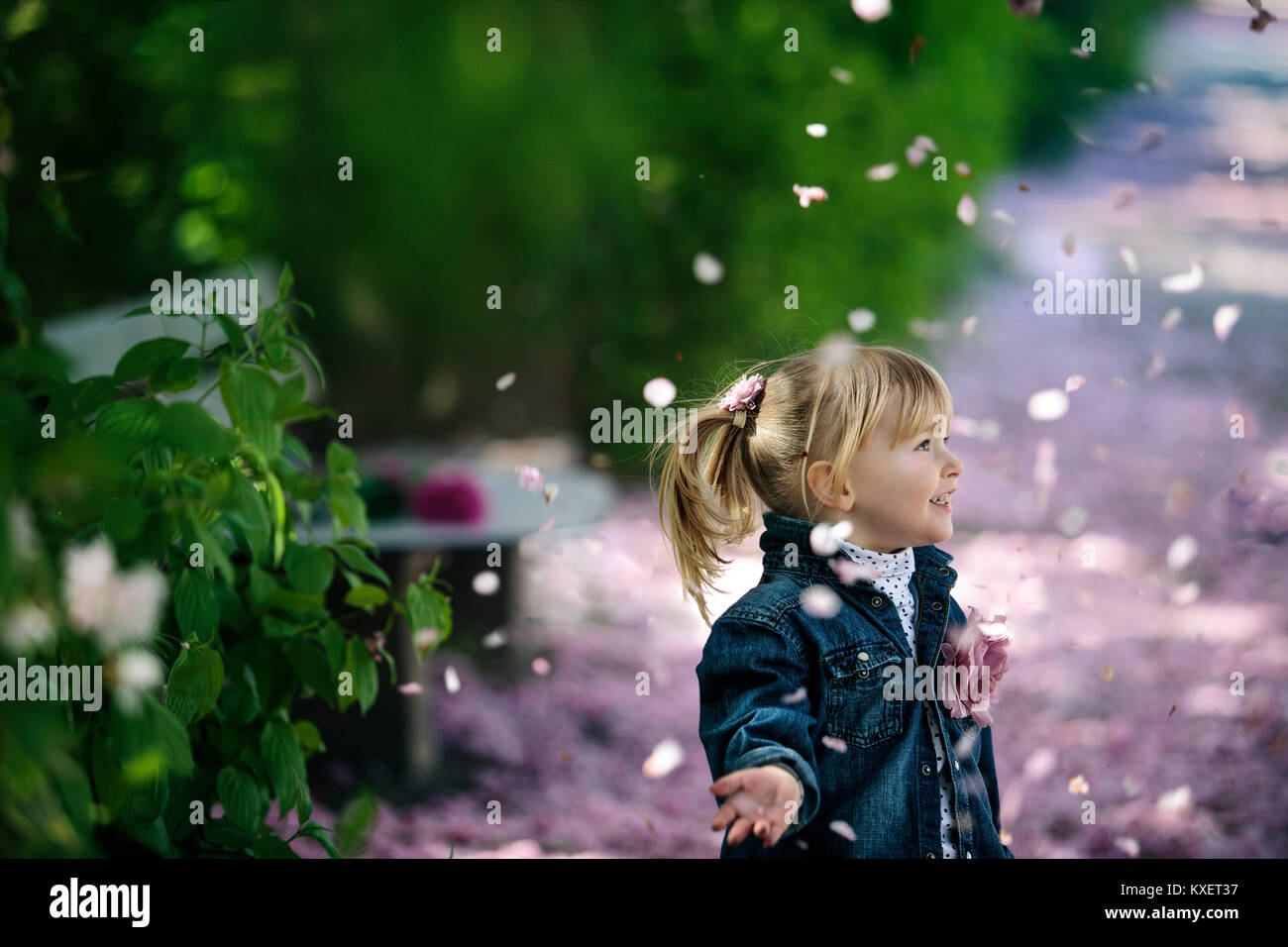 Portrait of a Girl and Cherry Tree Flowers in Spring Stock Photo