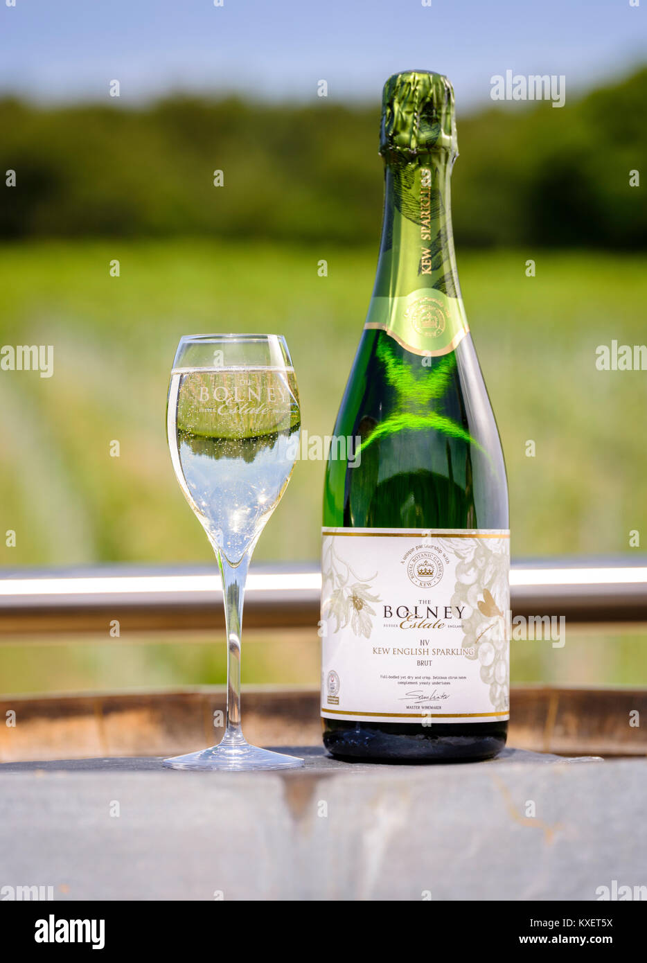 Bolney Wine Estate near Haywards Heath, West Sussex. Stock Photo