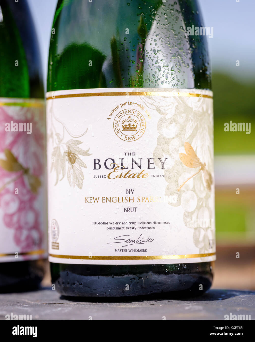 Bottles of Kew English Sparkling wine at the Bolney Wine Estate near Haywards Heath, West Sussex. Stock Photo