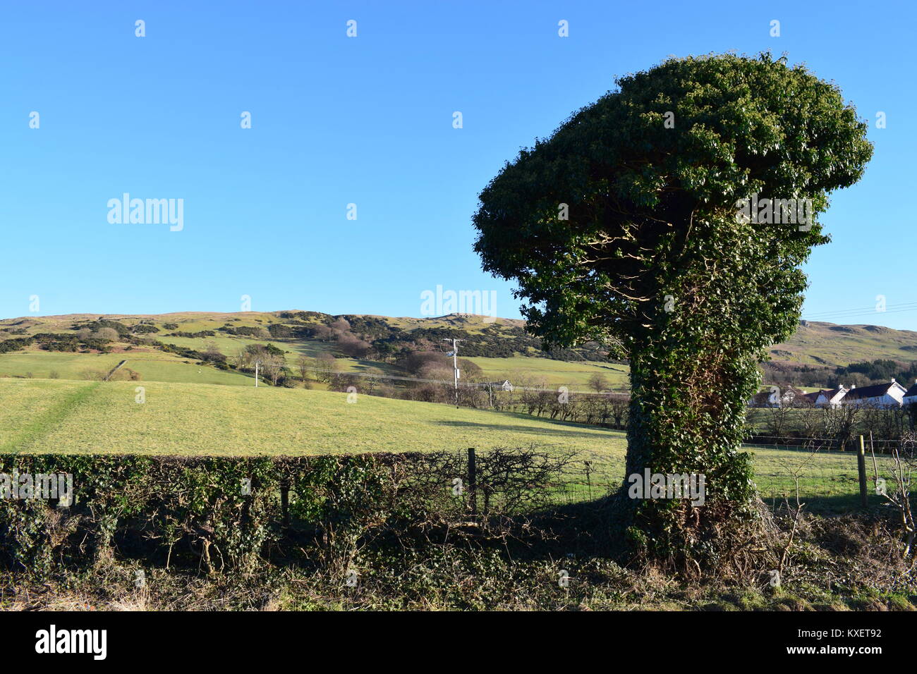 Hill landscape Stock Photo