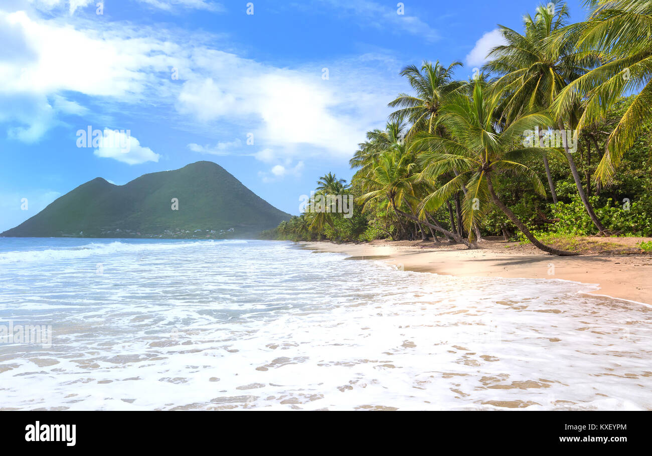 The Caribbean beach , Martinique island Stock Photo Alamy