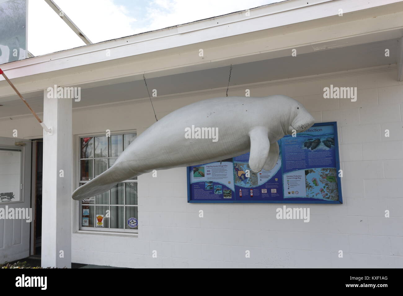 Manatee sculpture in front of a snorkel charter store in Crystal River, Florida Stock Photo