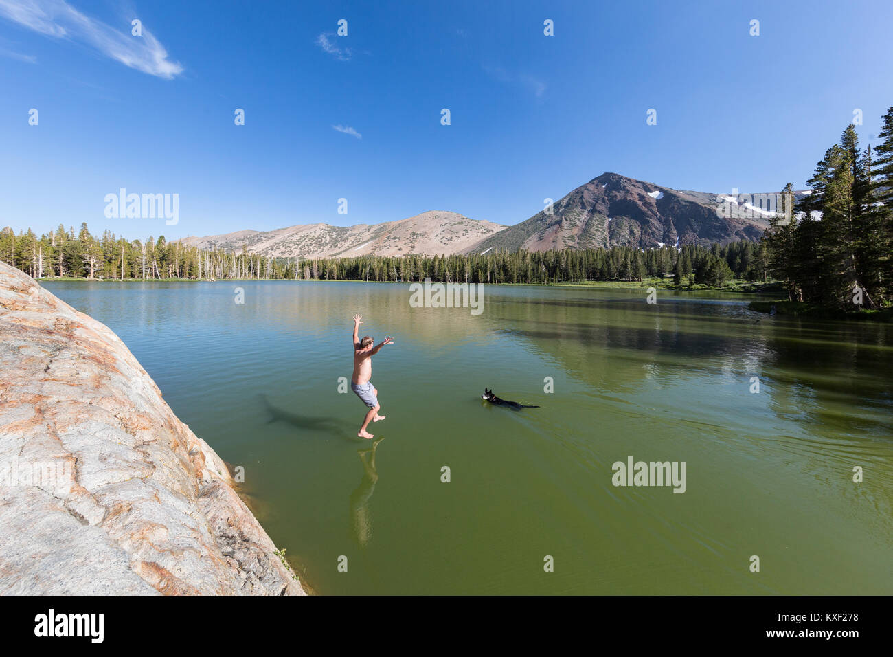 A man leaps into Trumbull Lake to join his swimming dog in California's Sierra Nevada Mountains. Stock Photo