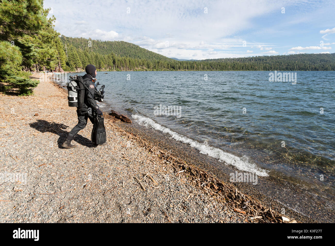 A scuba diver prepares to enter Fallen Leaf Lake in the Sierra Nevada Mountains for altitude diving. Stock Photo