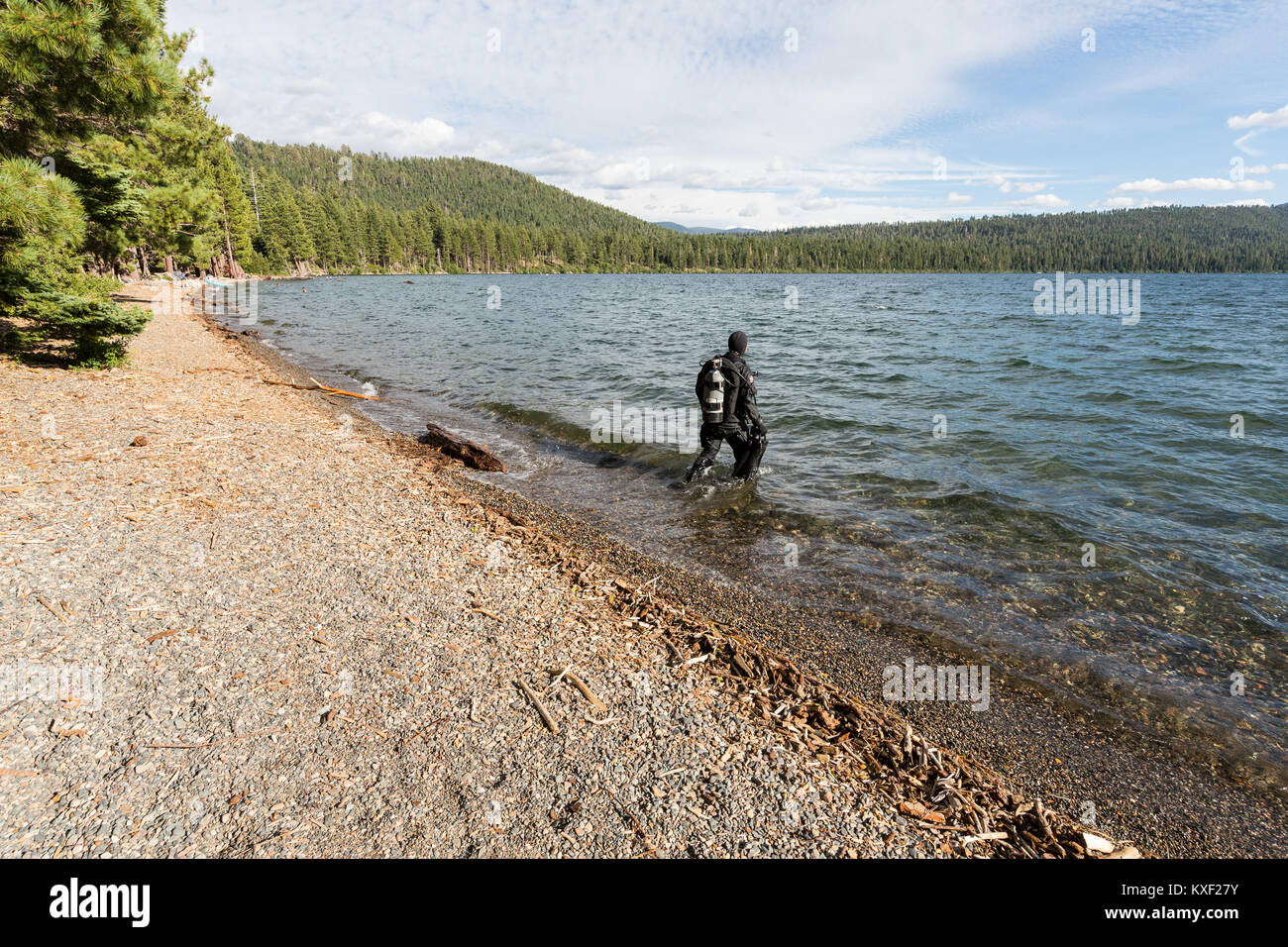 A scuba diver enters Fallen Leaf Lake in the Sierra Nevada Mountains for altitude diving. Stock Photo