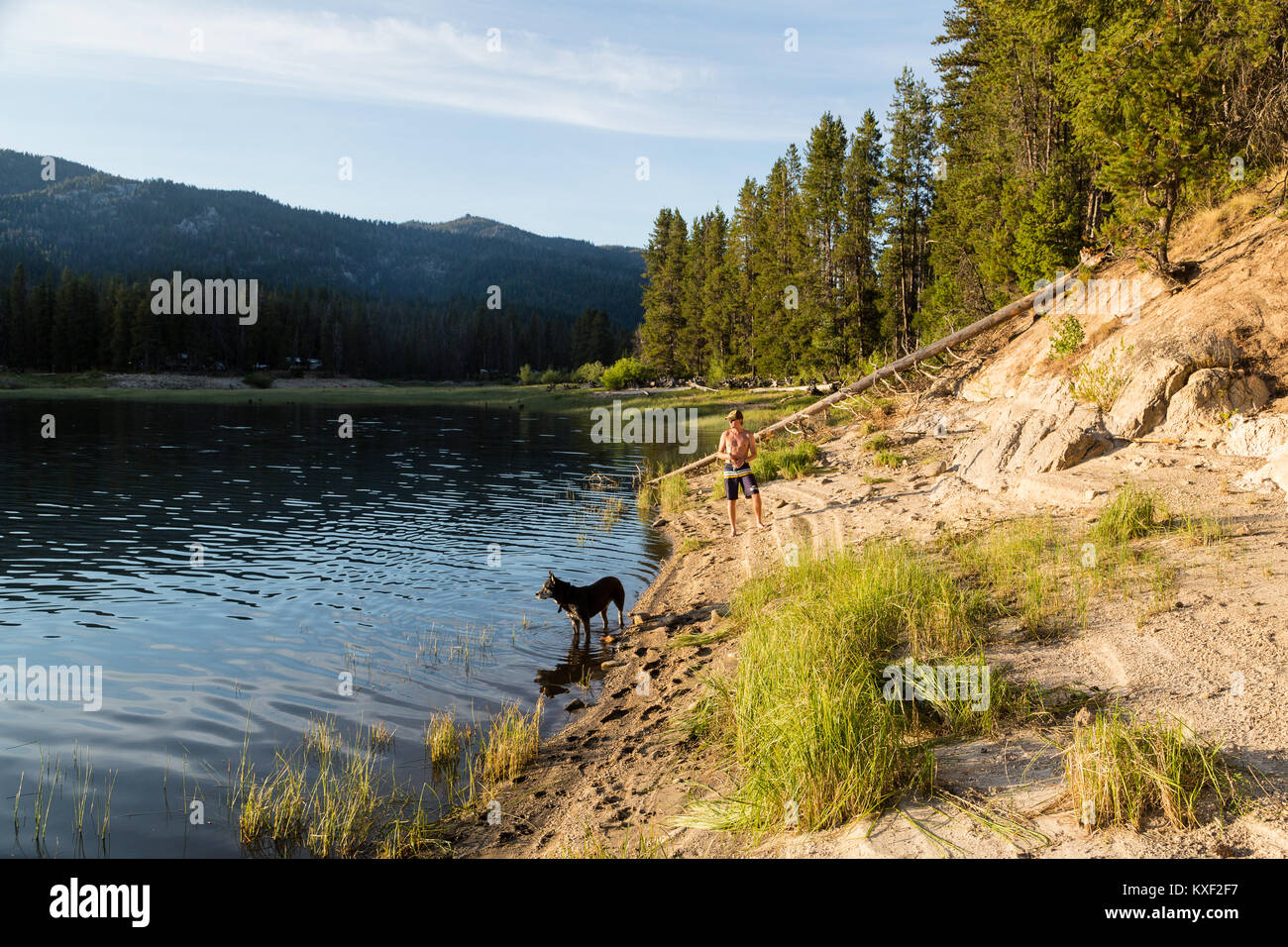 A man fishes from the shore of Deadwood Reservoir in Boise National Forest while is dog looks on. Stock Photo
