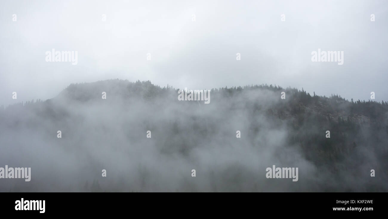 Dense fog and clouds covering forested mountain ridge in Norway. Stock Photo