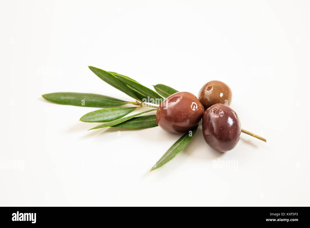 Olives and olive branch isolated on white background Stock Photo - Alamy