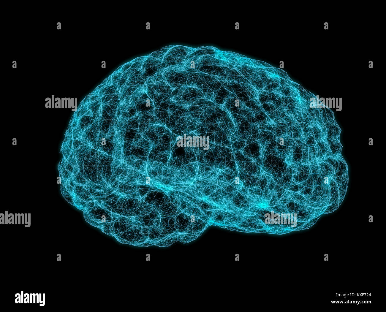 X-ray image of human brain Stock Photo - Alamy