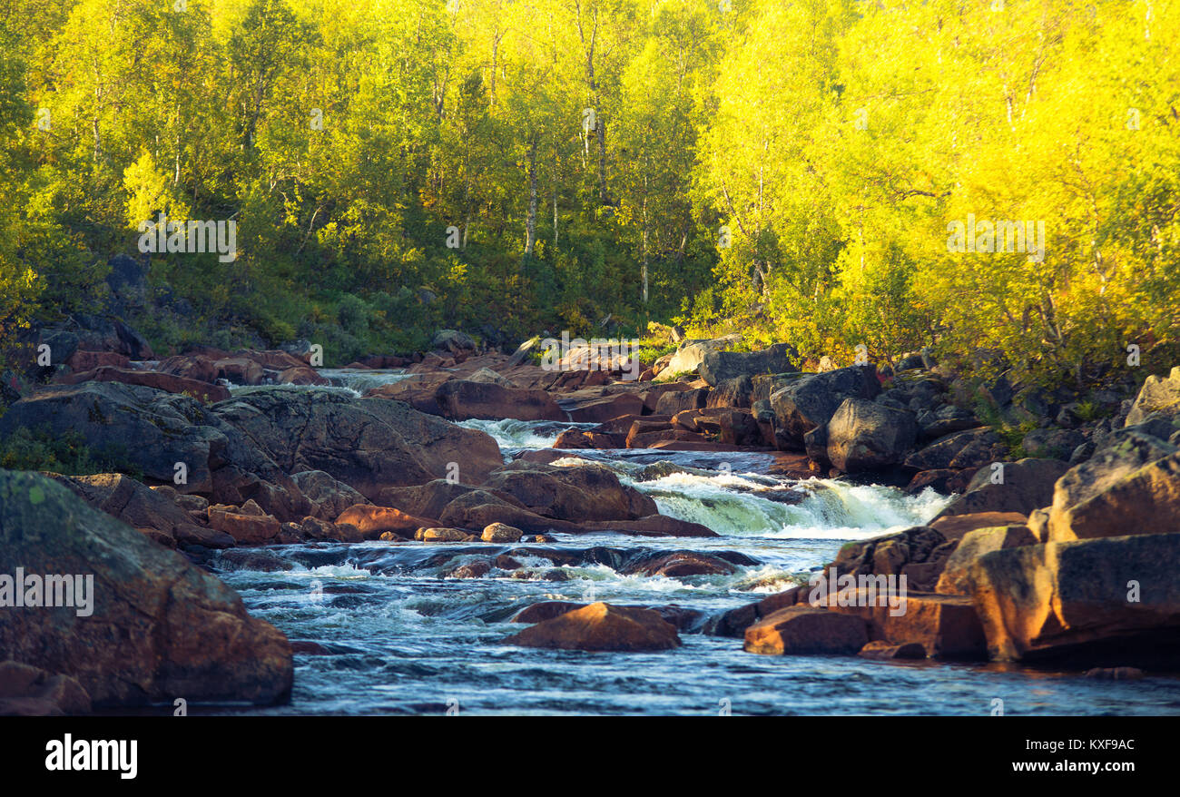Norway landscape with mountain stream. Autumn nature of Norway. Sunny evening norway background. Stock Photo
