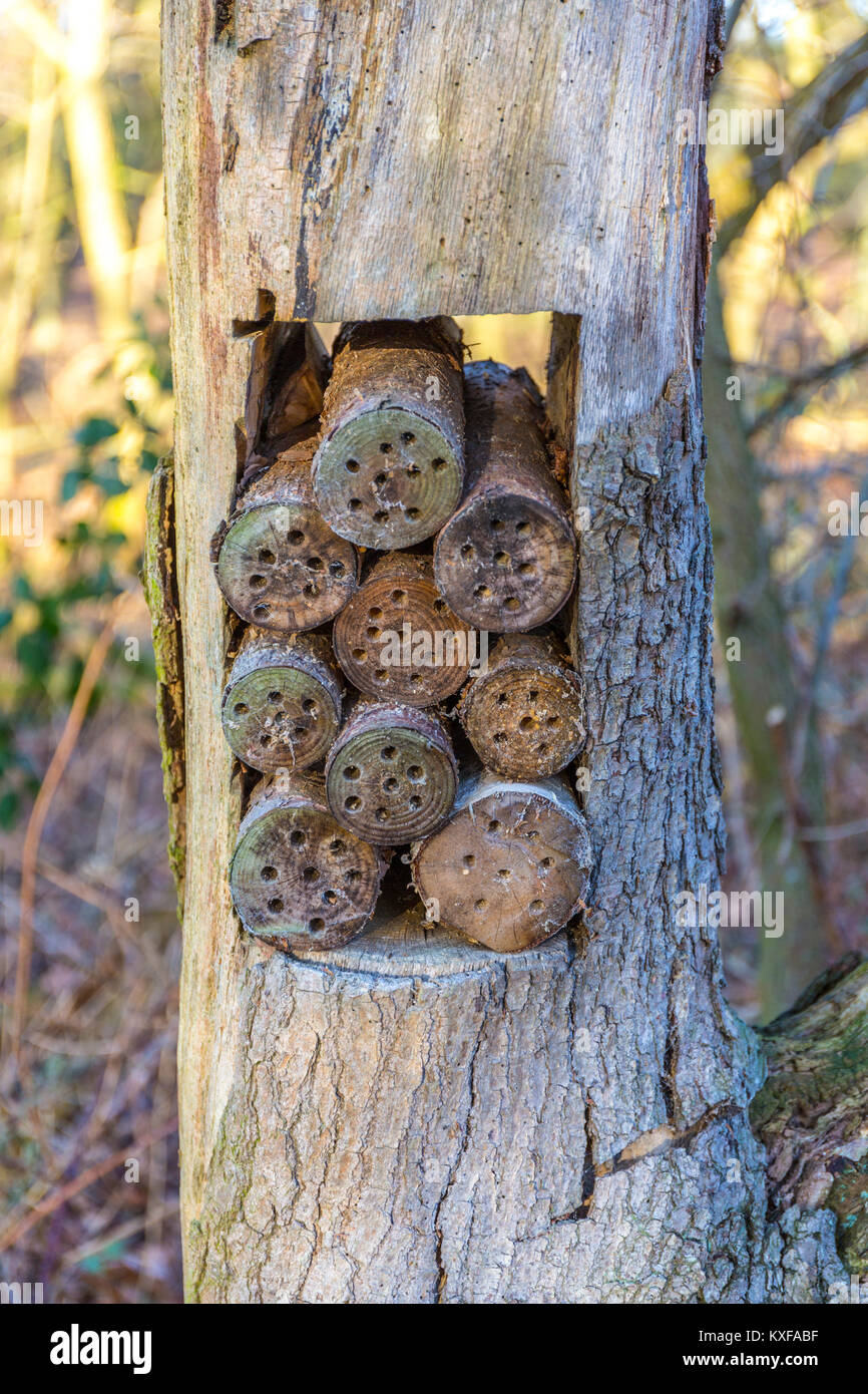 Bug hotel at Redgrave and Lopham Fen, Suffolk, UK. Stock Photo