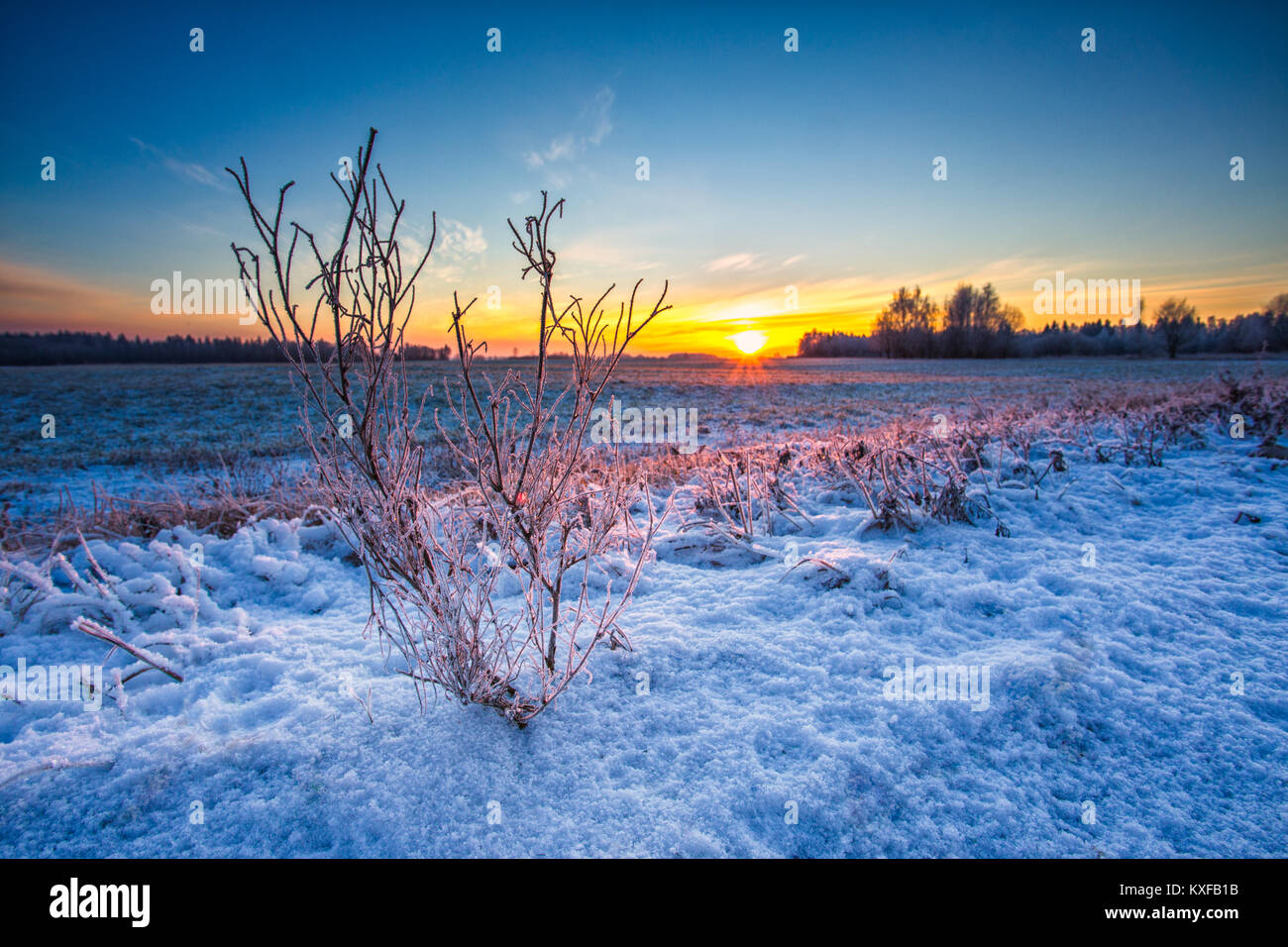 Winter landscape with a clear sky and a beautiful view Stock Photo - Alamy