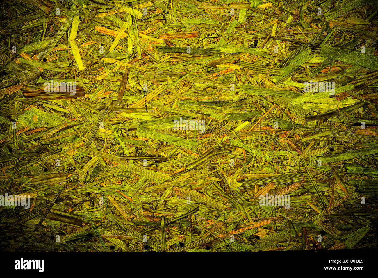 Green abstract organic texture background with messy wooden pattern Stock Photo